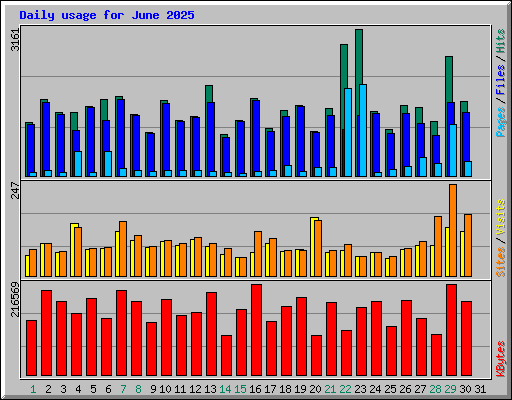 Daily usage for June 2025