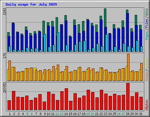 Daily usage for July 2025