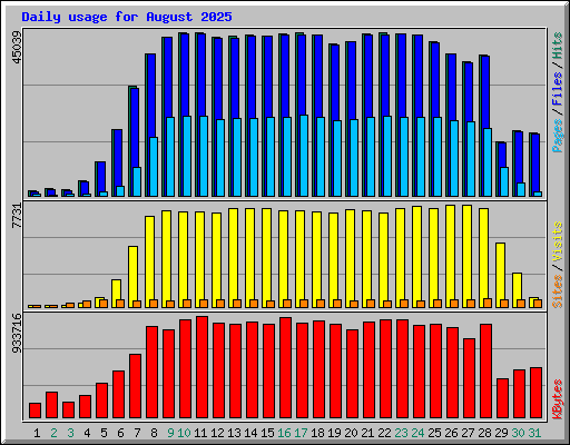 Daily usage for August 2025