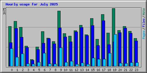 Hourly usage for July 2025