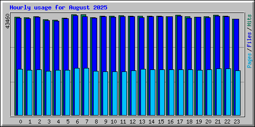 Hourly usage for August 2025