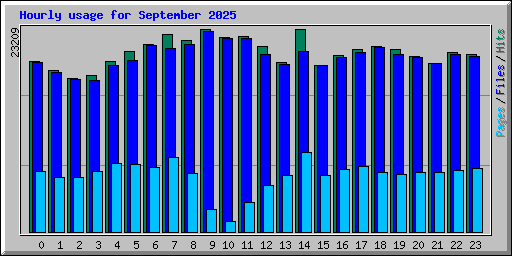 Hourly usage for September 2025