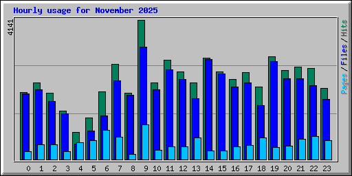Hourly usage for November 2025