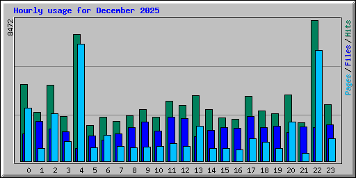 Hourly usage for December 2025