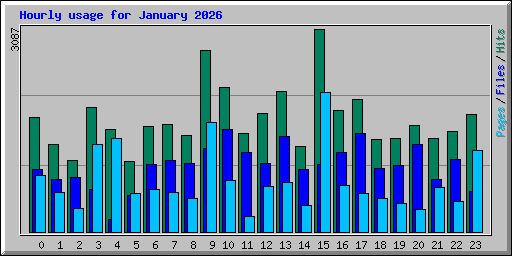 Hourly usage for January 2026